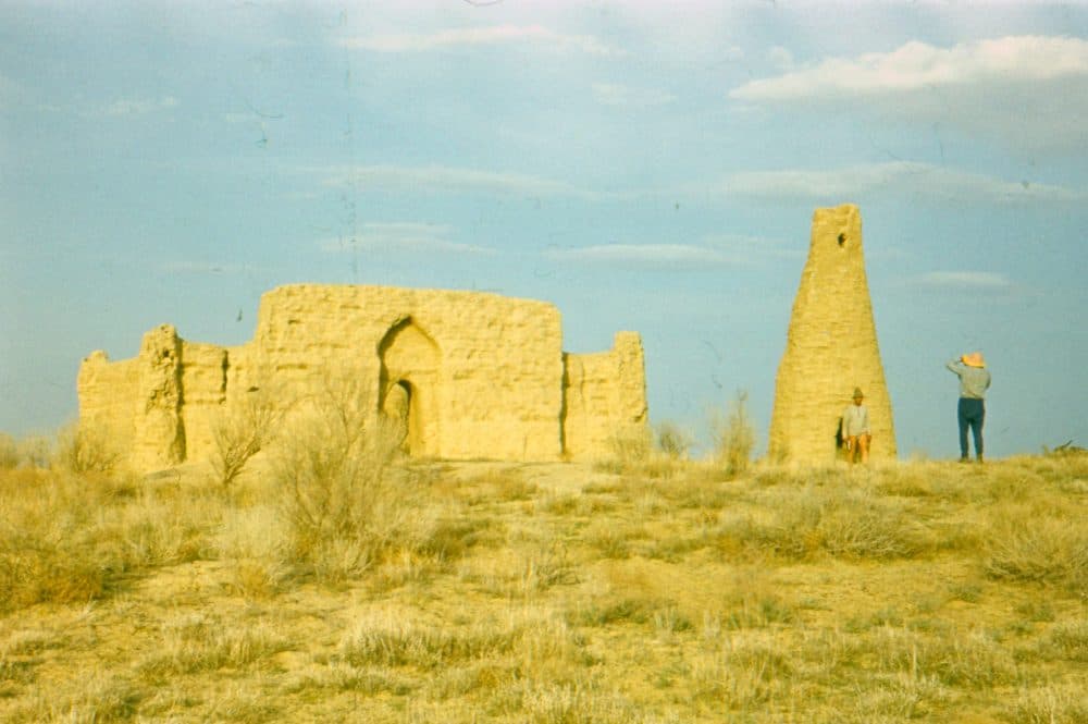 Пустыня Кызылкум фото