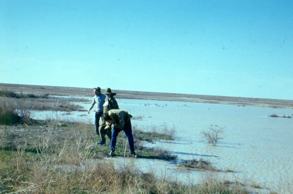 Пустыня Кызылкум фото