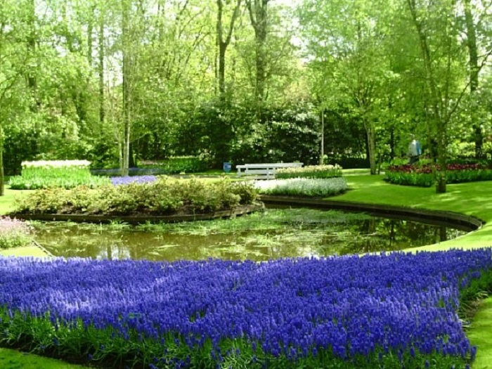 Парк цветов Голландия