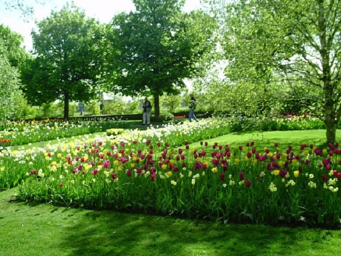 Парк тюльпанов Голландия