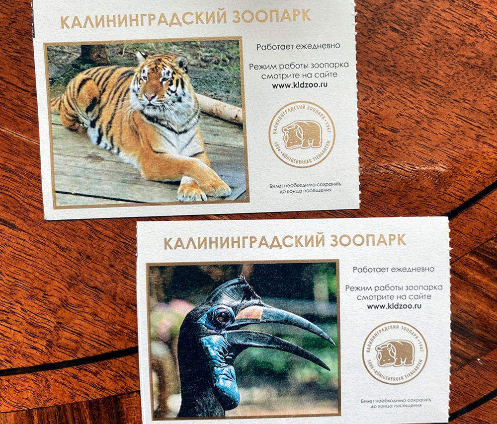 Калининградский зоопарк отзывы