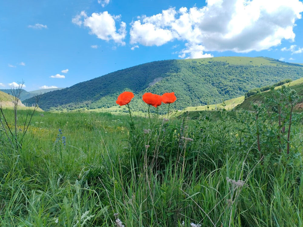 Армения природа фото